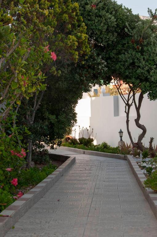 Arkasa Bay Hotel Exteriér fotografie